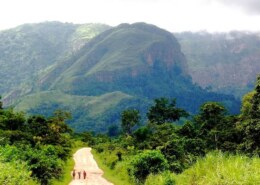 How Can I Apply for a Togo Business Visa?